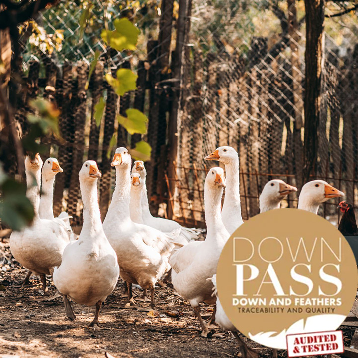 Ganzendons met Downpass-keurmerk